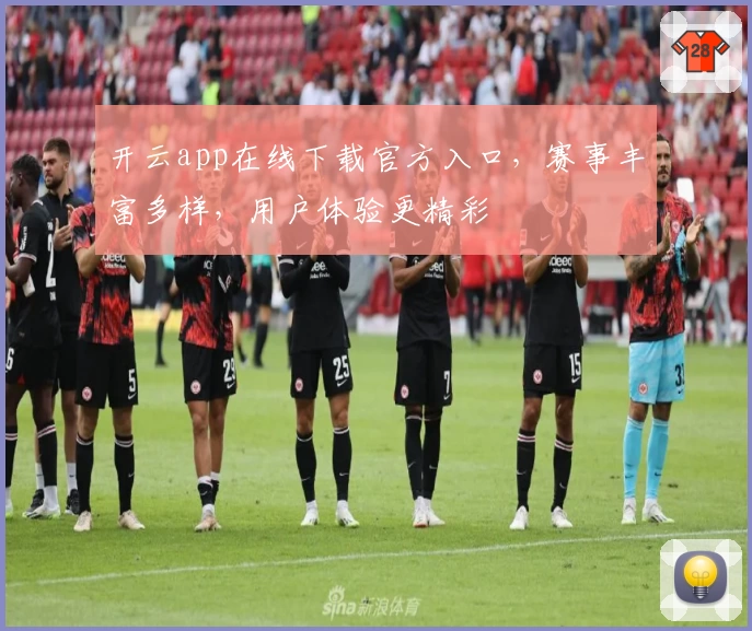 开云app在线下载官方入口，赛事丰富多样，用户体验更精彩