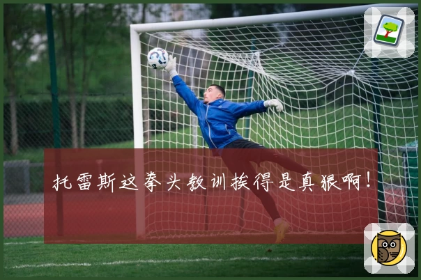 托雷斯这拳头教训挨得是真狠啊！