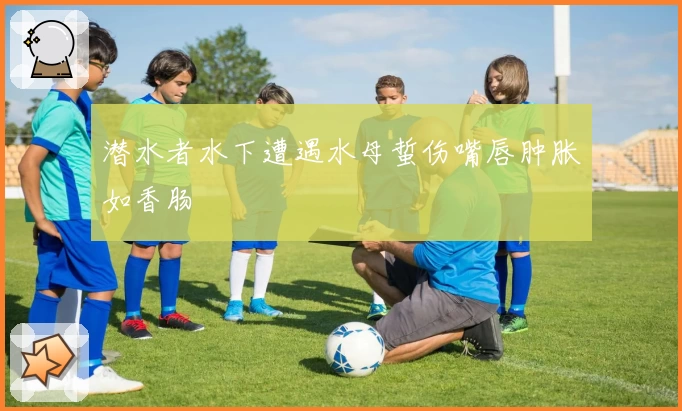 潜水者水下遭遇水母蜇伤嘴唇肿胀如香肠