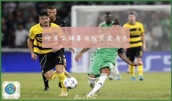 印度亚锦赛场馆突袭鸟粪